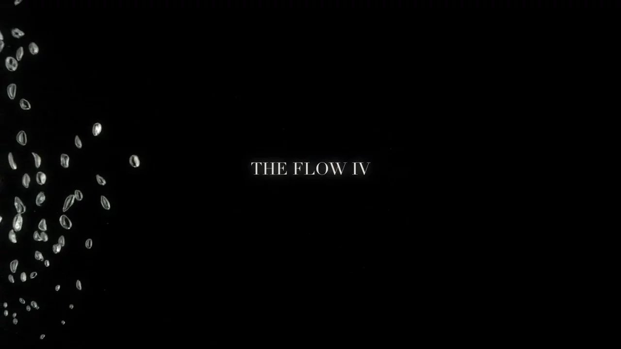The Flow IV